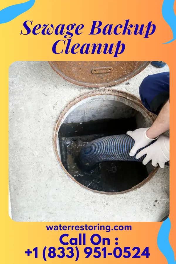 Sewage Backup Cleanup in Holmen, WI