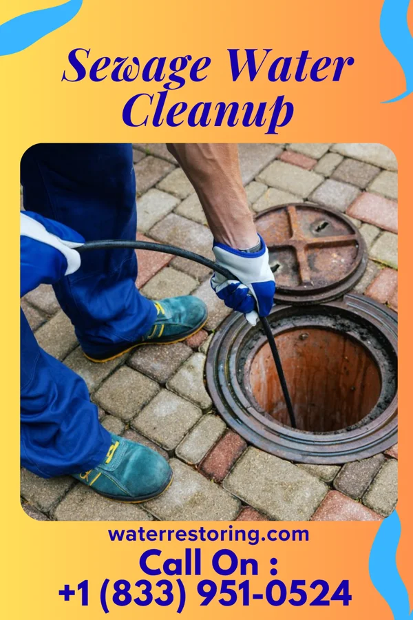 Sewage Water Cleanup in Holmen, WI